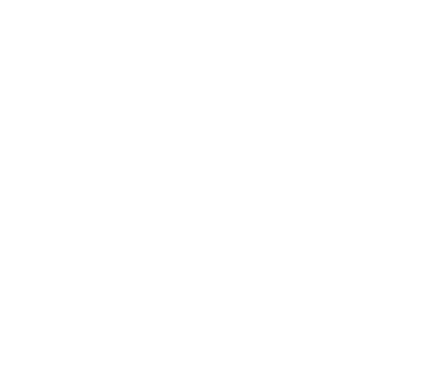 logo arioneo