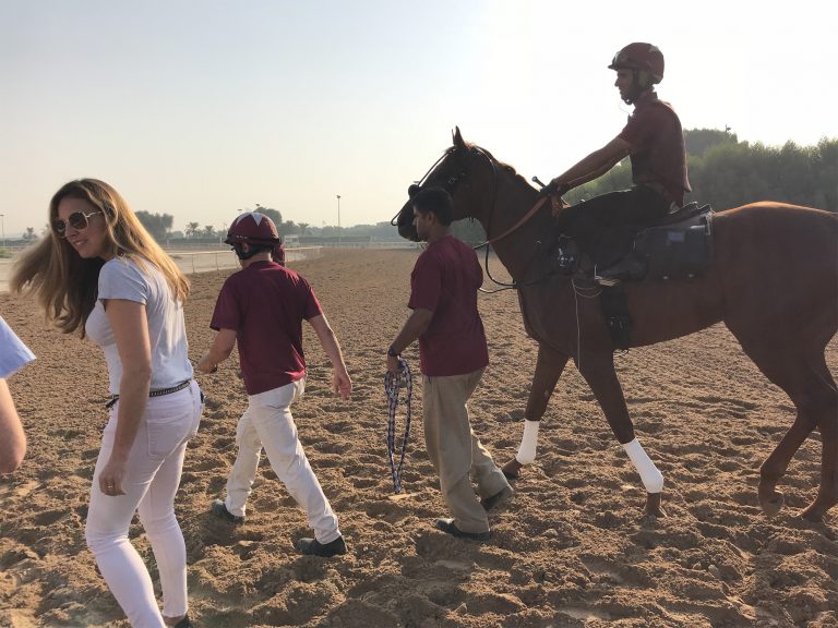 cheval equimetre fr