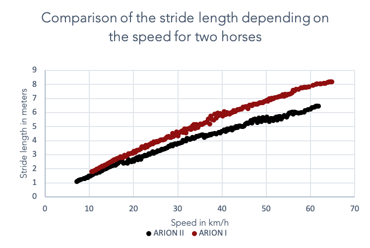 speed aptitudes according to the racehorse locomotion