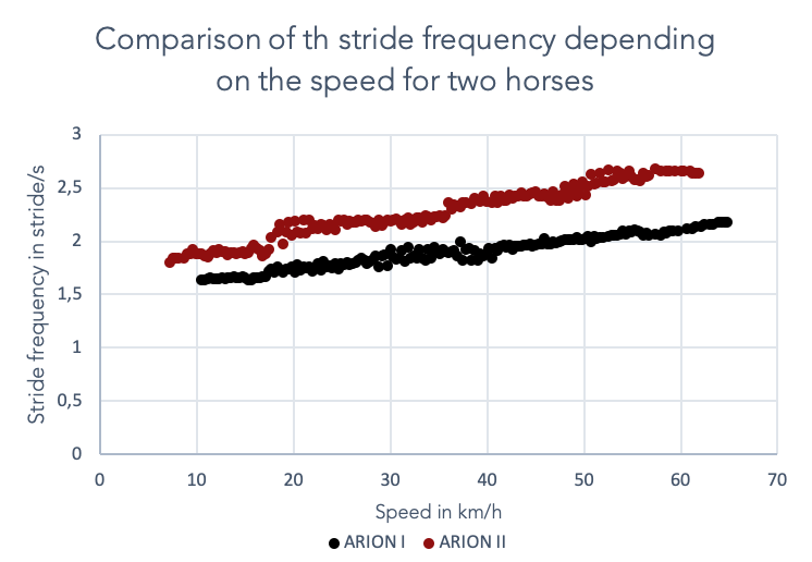 racehorse aptitudes according to stride data
