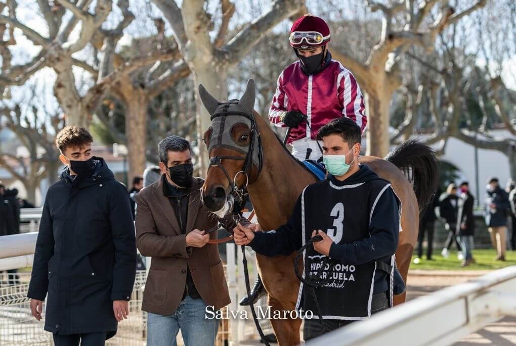 training racehorses with equimetre