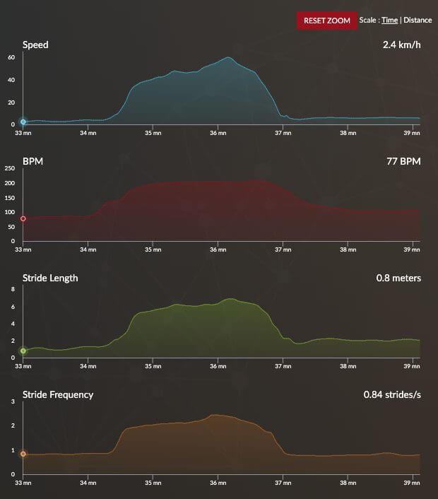 racehorse acceleration