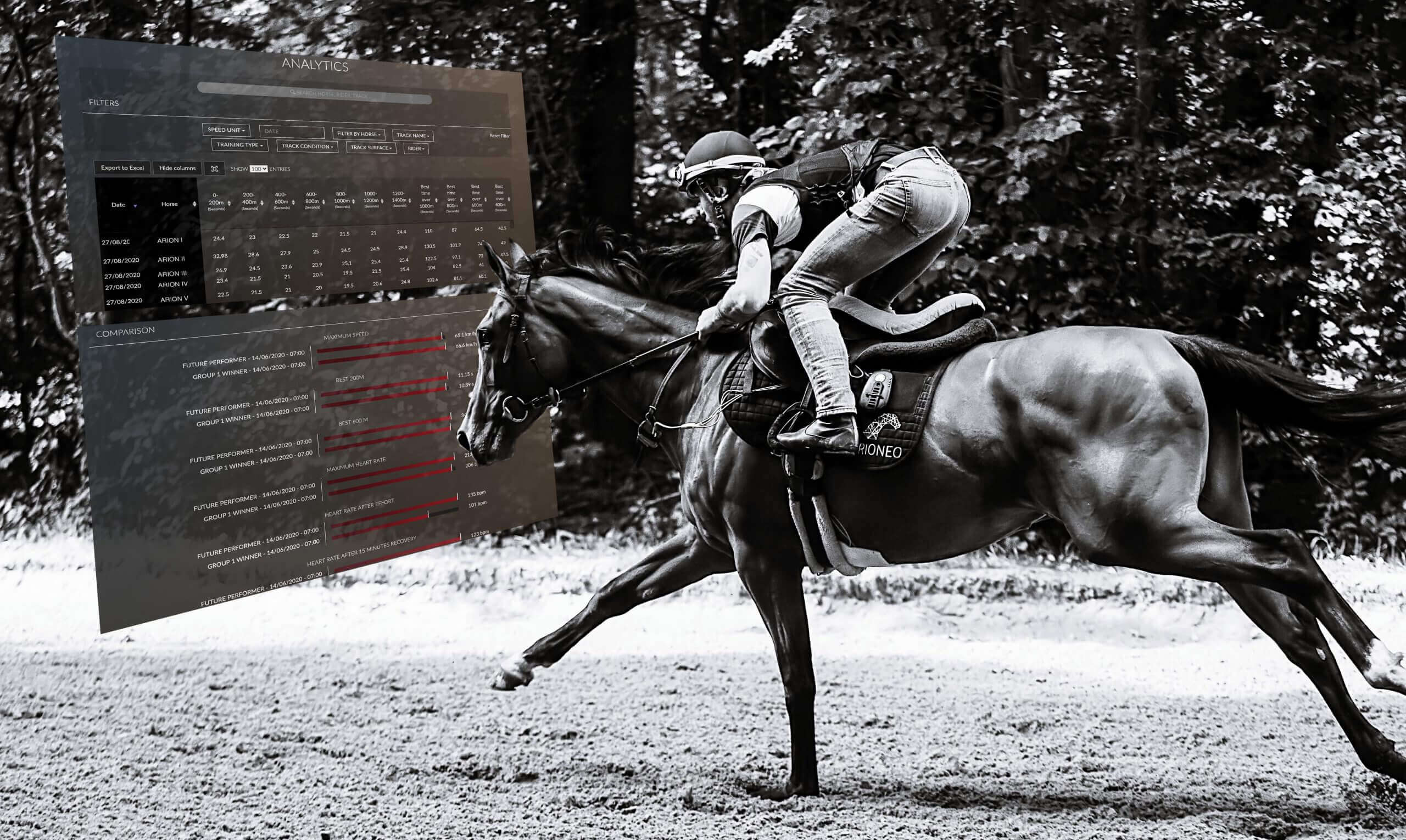 horse 1 (1) (1)