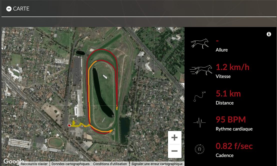 racehorses training individualisation