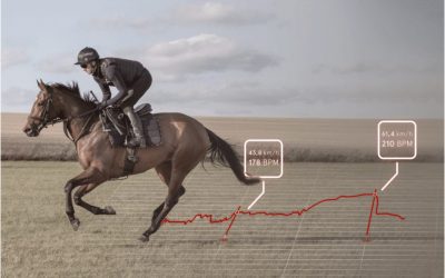 Cardio du cheval de course : comment analyser vos données ?