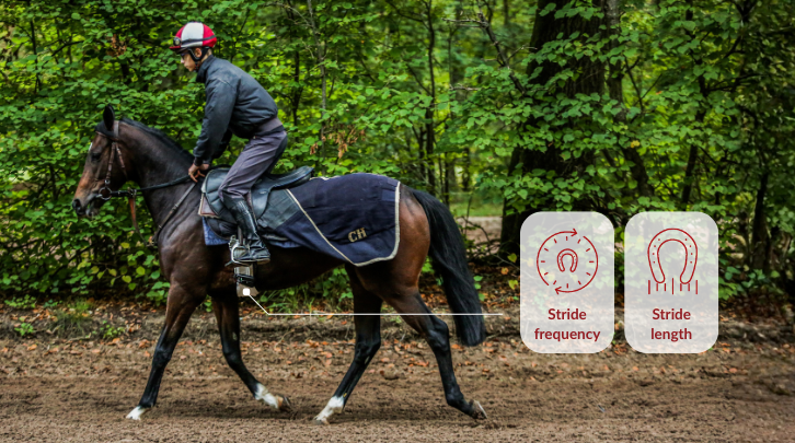 Preferred distances in the Racehorse: the role of data