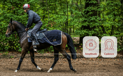 Choisir la distance de votre cheval de course : le rôle des data