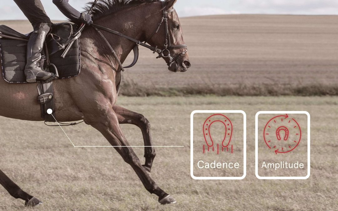 locomotion et distance chez cheval de course