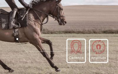 Choisir la distance de votre cheval de course : le rôle des data