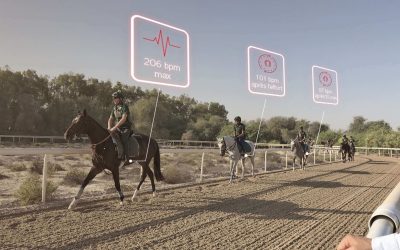 La mort subite chez les chevaux de course : l’enjeu du bien-être animal