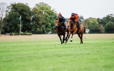 Monitoring the impact of a race on racehorse