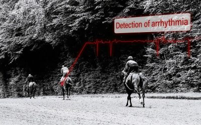Cardiac arrhythmias in the racehorse: how to detect them?