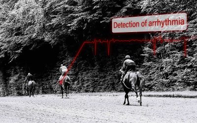 Arythmies chez le cheval : quand les soupçonner ?