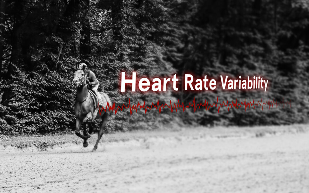 analyser la variabilité cardiaque du cheval de course