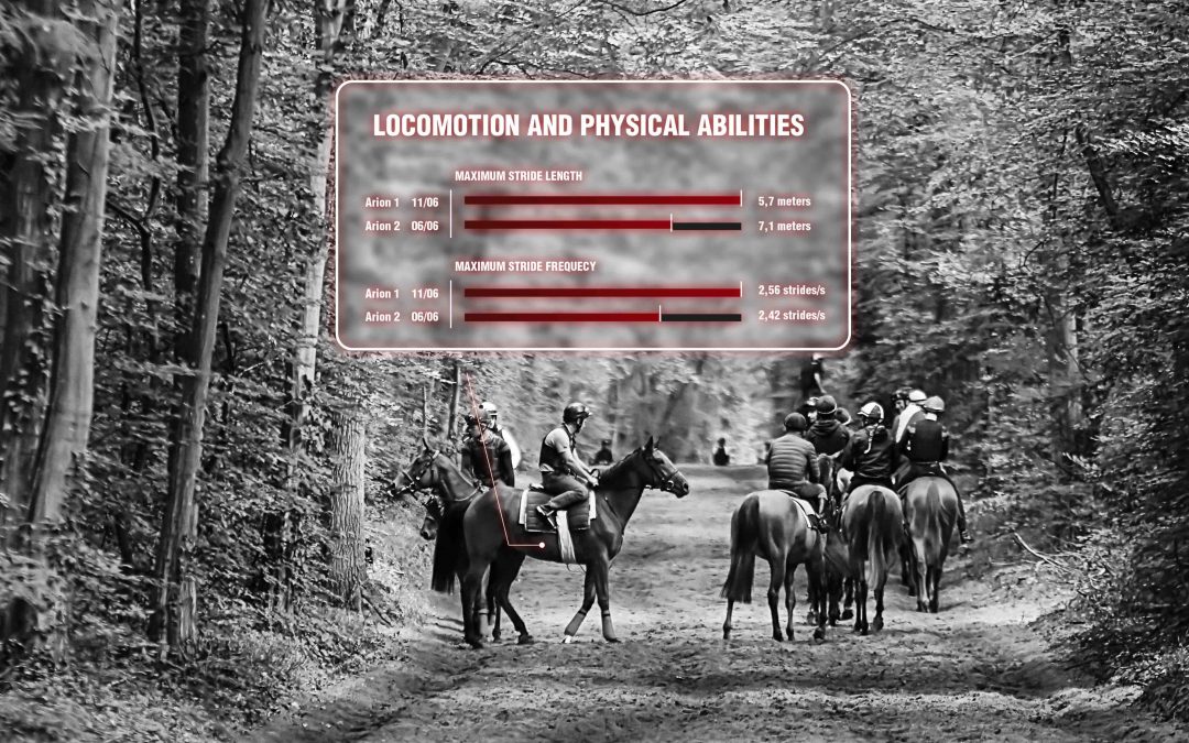 locomotion et aptitudes de vitesse chez le cheval de course