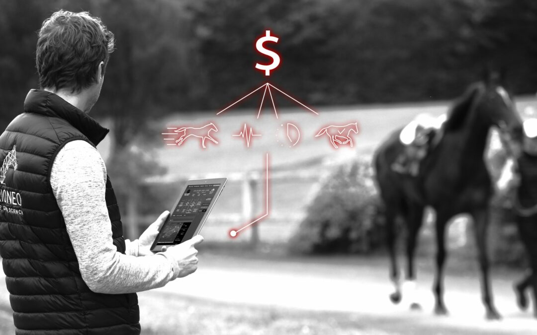 visuel acheter cheval avec data