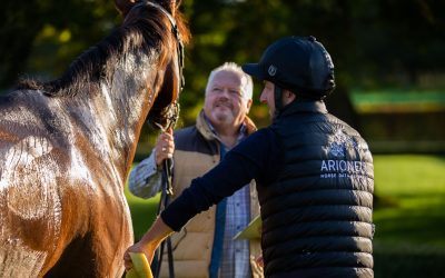How to improve the racehorse’s recovery?