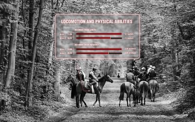 How to assess the racehorse’s speed aptitudes?
