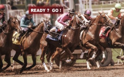 How to make sure that my horse is ready to race?