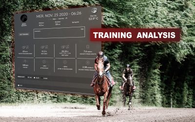 Read a training with EQUIMETRE