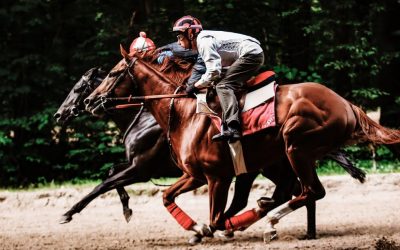 Horse performance measurement – 8 key analysis offered by EAP