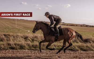 4 éléments à objectiver dans l’entraînement des jeunes chevaux