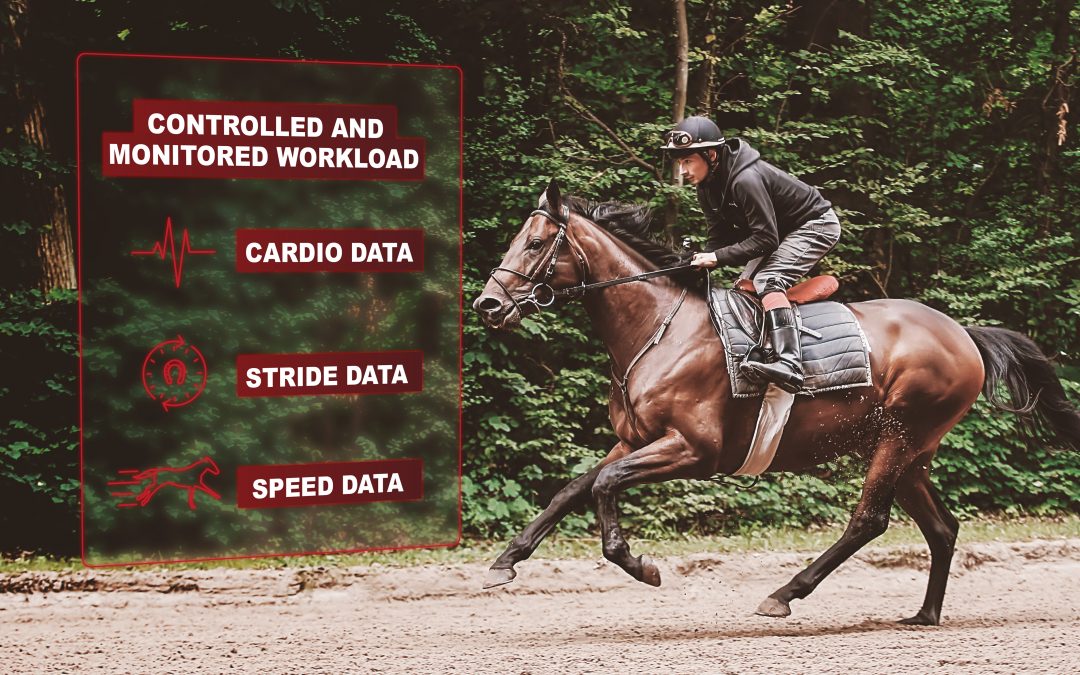 Pourquoi quantifier l’entraînement du cheval de course ?