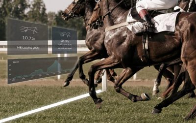 7 raisons de travailler vos chevaux de course à l’aide d’une finish line
