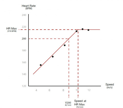 The Racehorse's heart rate: a brief introduction