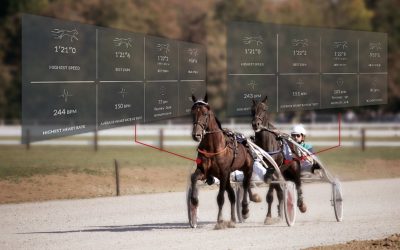 Standardbreds: analyze an Interval Training session with Equimetre