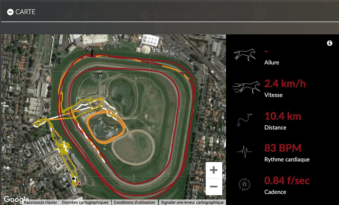 Map equimetre avec trajectoire d'un entraînement d'un cheval de course après adaptation du travail 