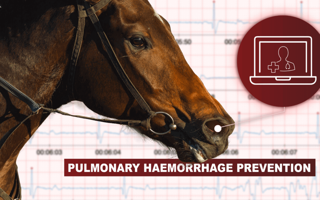 Pulmonary haemorrhage in the racehorse