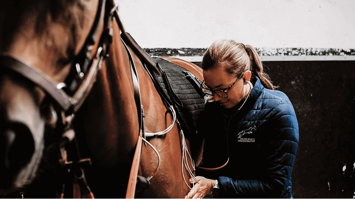 Emmanuelle van Erck en train d'ausculter un cheval