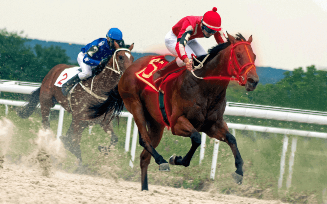 Influence of equipment on racehorses' performance