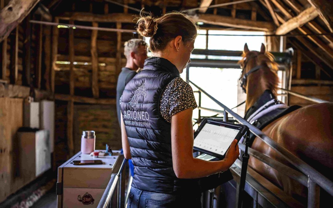 advantages of the treadmill in training racehorses
