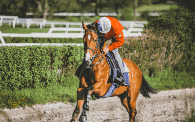 4 questions to analyze your racehorses’ fitness