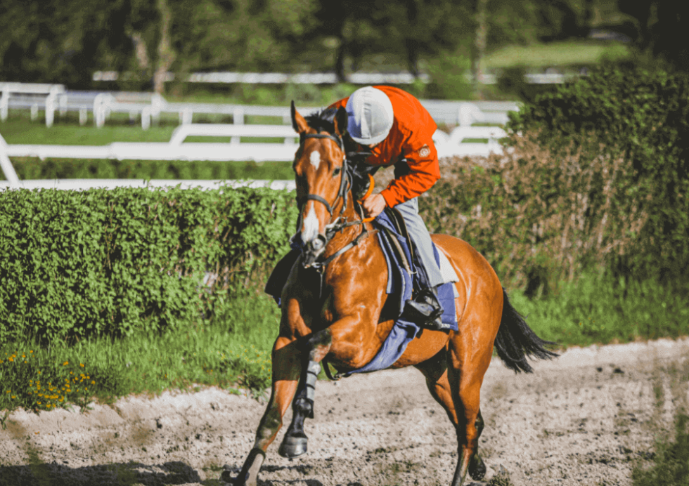 Racehorses’ fitness 4 questions to analyze it