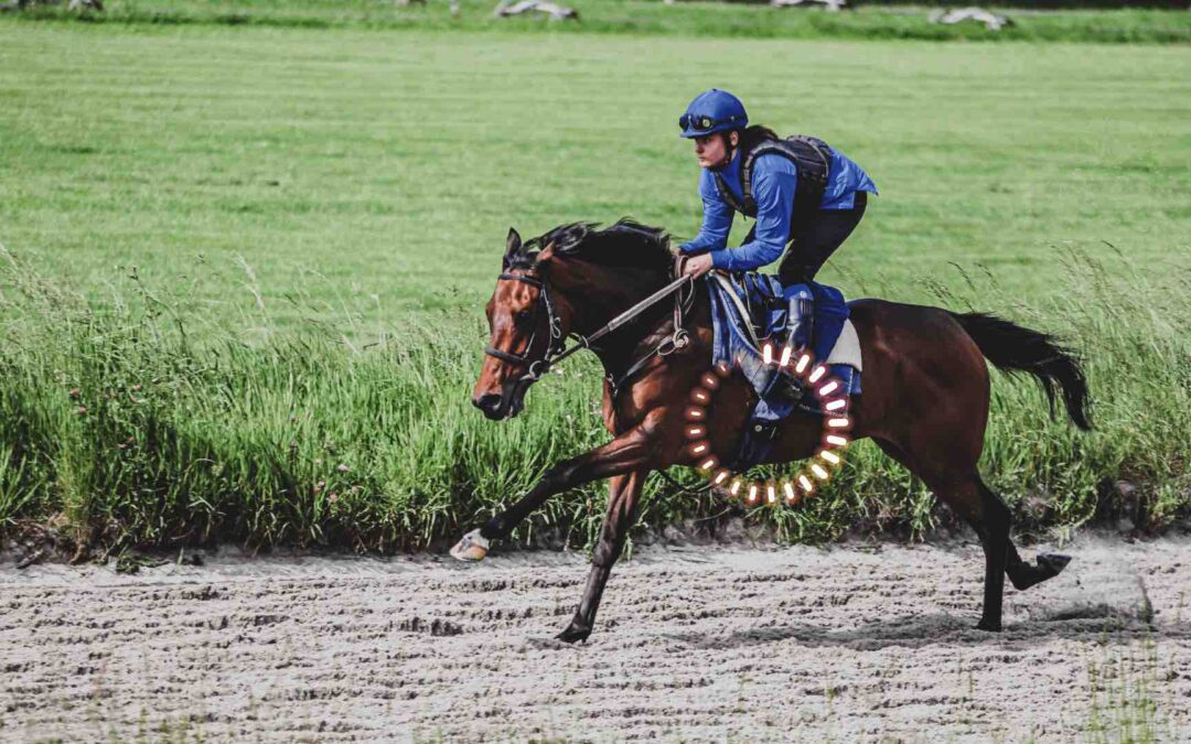 racehorse during training on track with a jockey