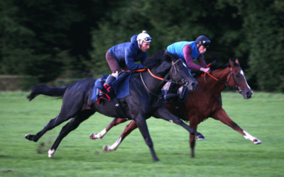 When and how to detect your young horses’ locomotor profile?