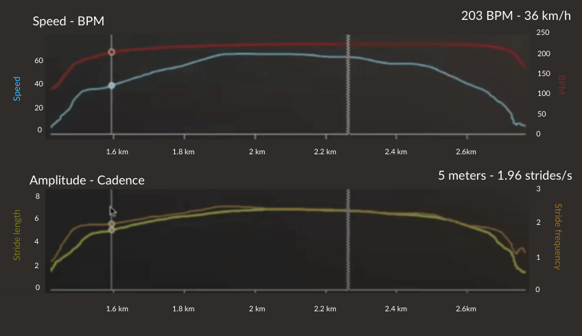 curves stride length and frequency