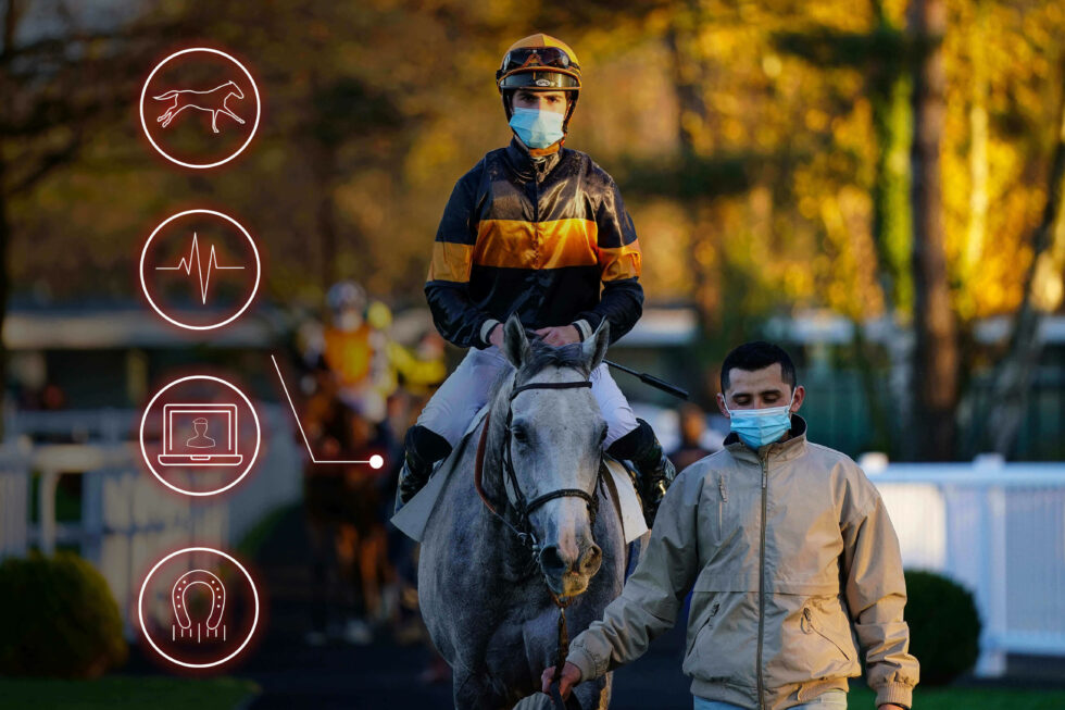Racehorse owner how can data improve your experience?