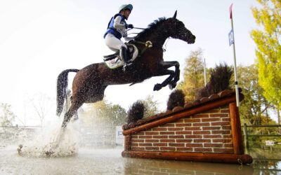 How to analyse the recovery of an eventing horse?
