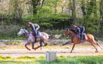 What influence do age and training have on Thoroughbreds?