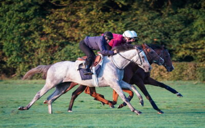 Suivi de l'entraînement des trotteurs - Arioneo