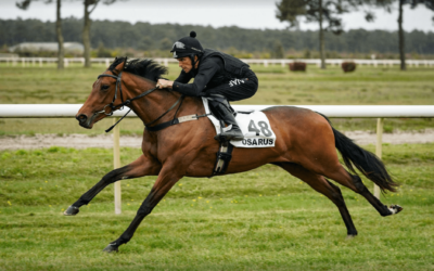 Marqueurs de vitesse : quels repères pour un cheval de course ? 