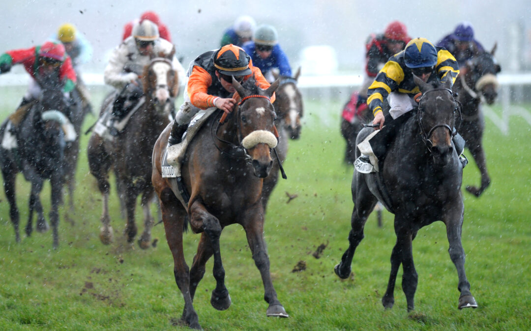 Conditions météorologiques : quels effets sur la performance des chevaux de course ?