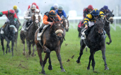 Conditions météorologiques : quels effets sur la performance des chevaux de course ?