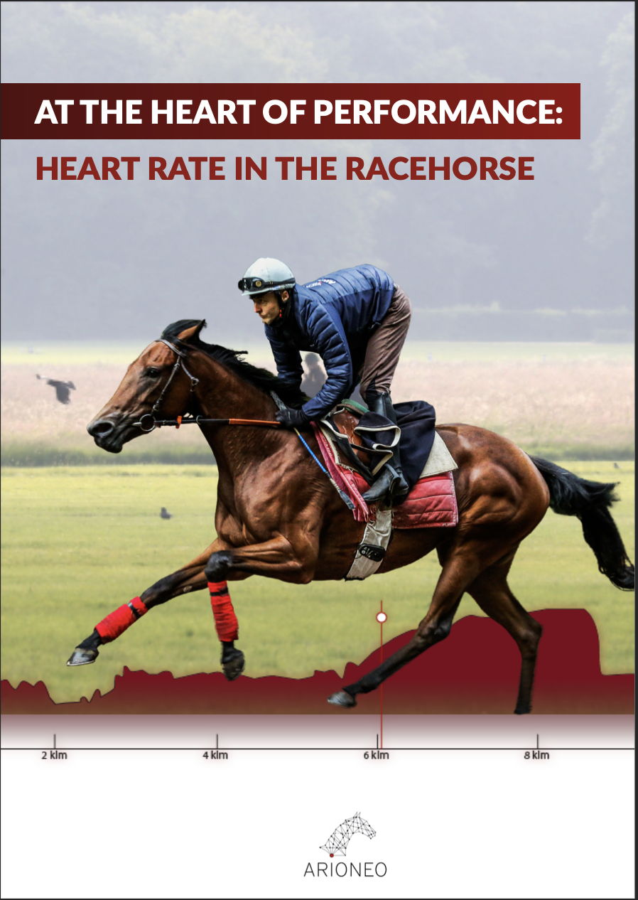 racehorses cardio analysis