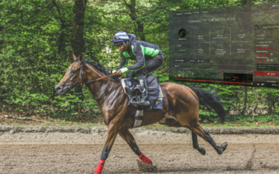 Racing Management: how to include data in your entry strategy in 5 easy steps