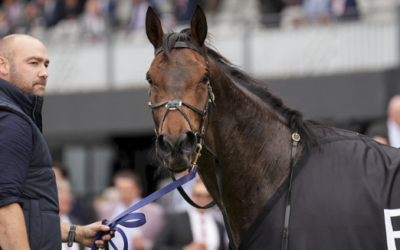 Michael Blomeley : Comment Equiscience contribue à un meilleur entraînement des chevaux de course grâce à la science des données